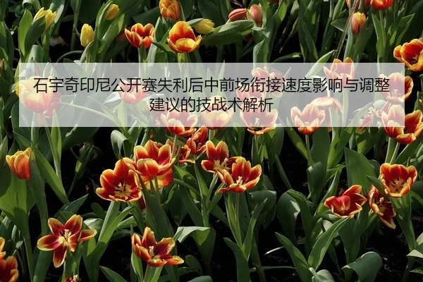 石宇奇印尼公开赛失利后中前场衔接速度影响与调整建议的技战术解析