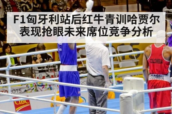 F1匈牙利站后红牛青训哈贾尔表现抢眼未来席位竞争分析（jiuyouhui）